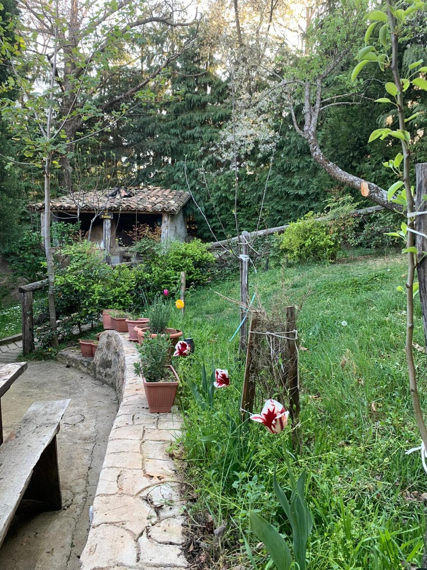 Agriturismo Carrozzino Sersale Екстериор снимка